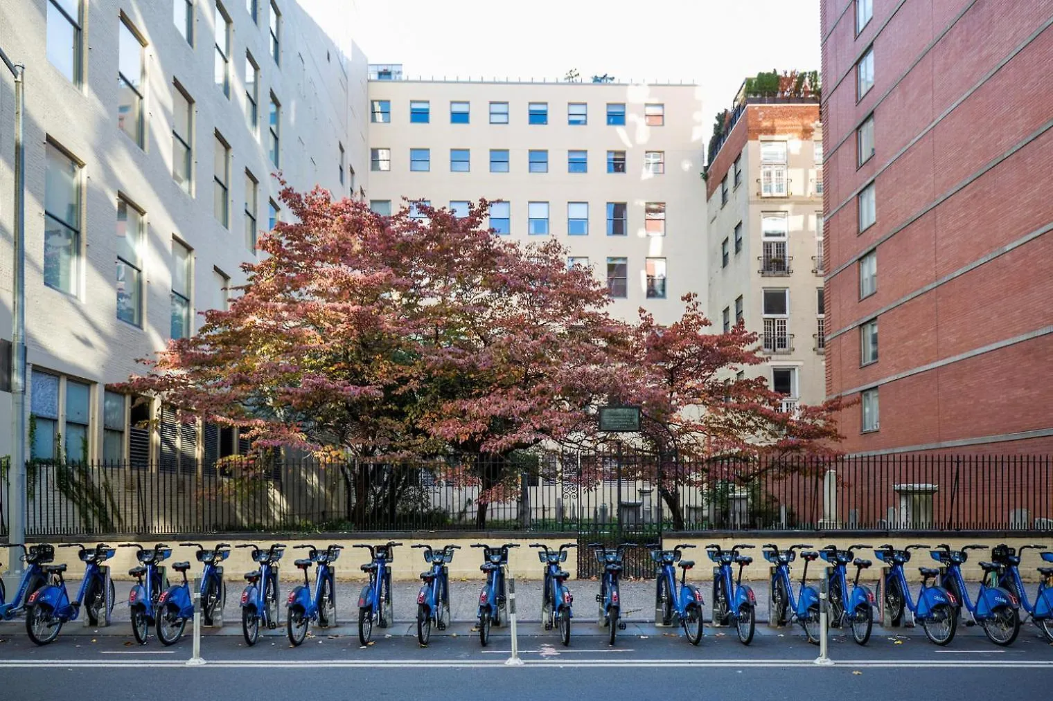 Blueground Chelsea Rooftop Nr The High Line Nyc-386 뉴욕 아파트